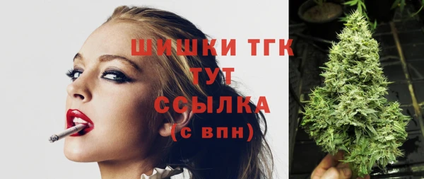 мдпв Бугульма
