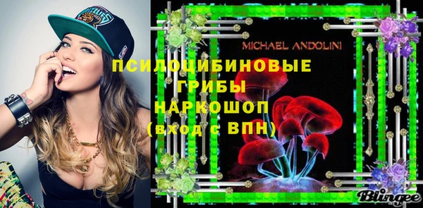 мдпв Бугульма