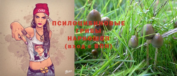 бутират Бородино