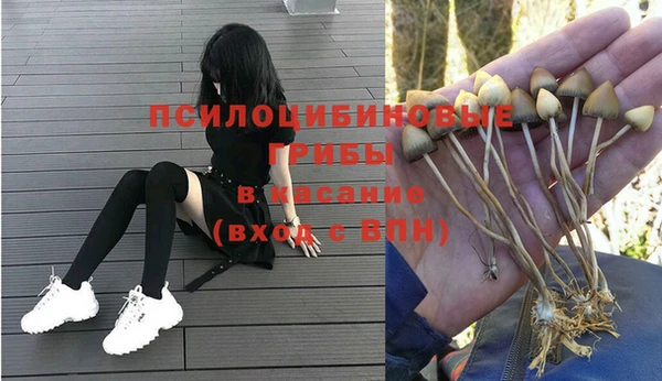 мдпв Бугульма