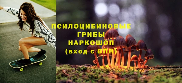 бутират Бородино