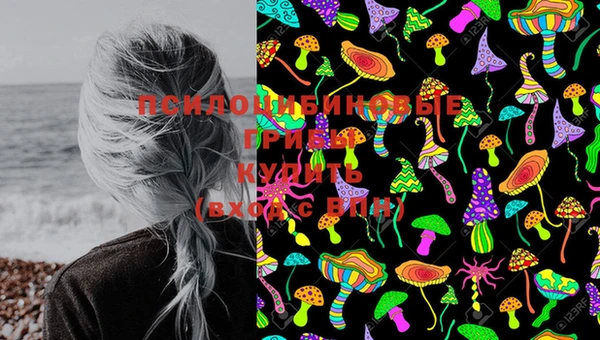 PSILOCYBIN Бронницы
