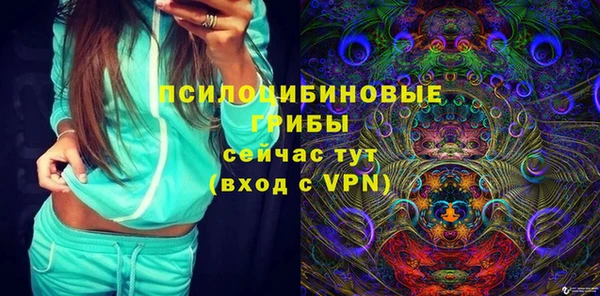 МДПВ Осташков