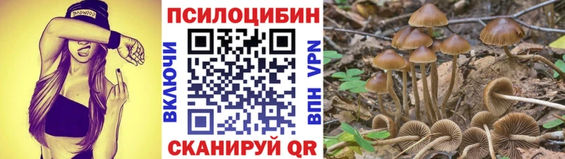OMG зеркало  Новый Оскол  Псилоцибиновые грибы мухоморы 
